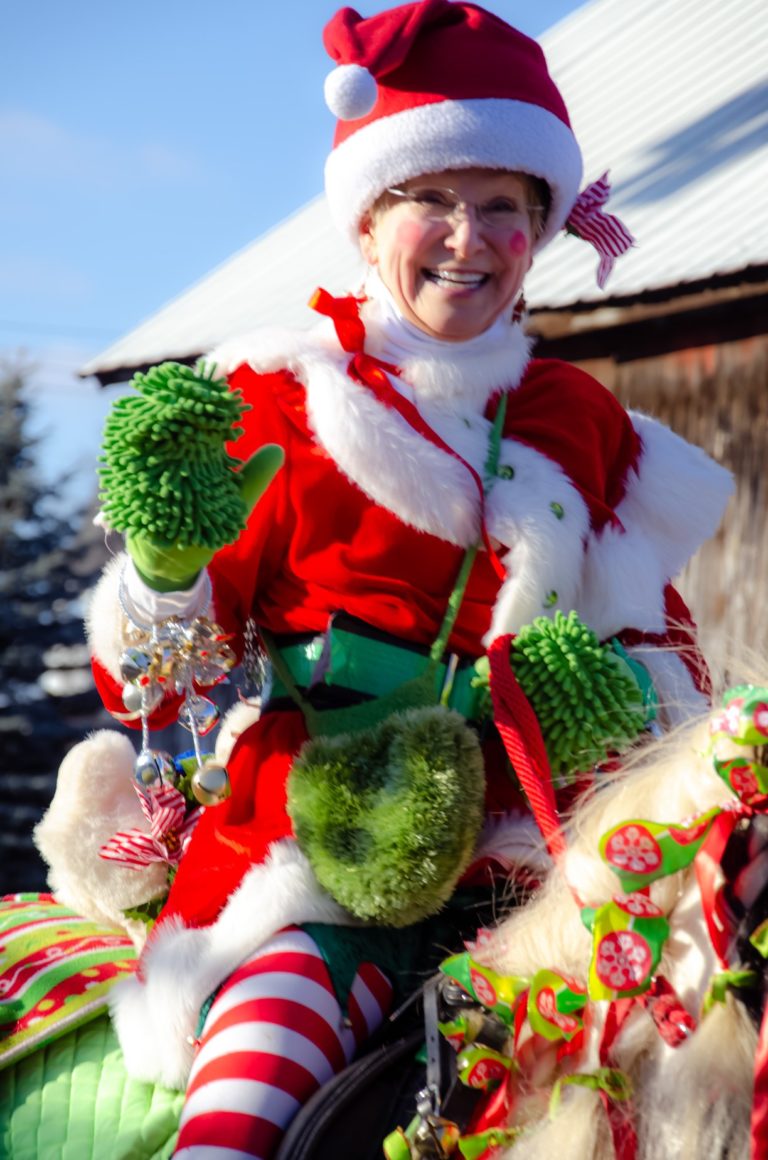 Christmas Celebrations Village of Metamora